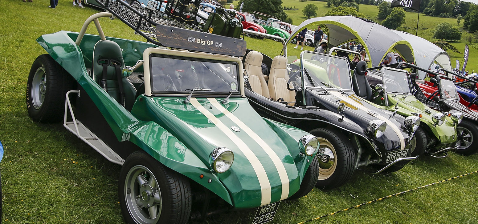 Predator clearance beach buggy